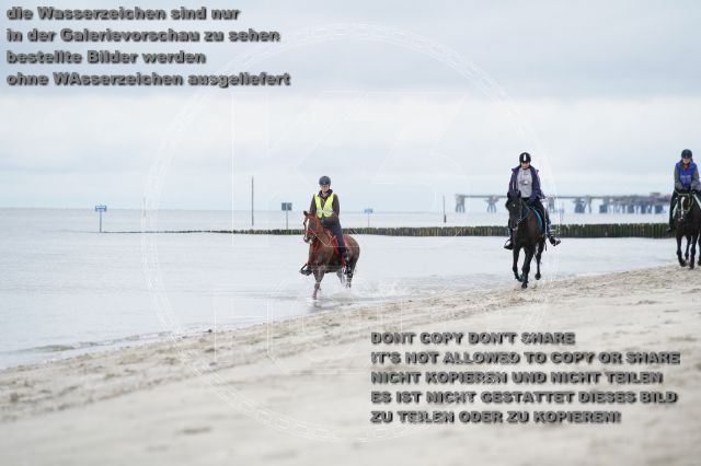 s_K3F04801.JPG
